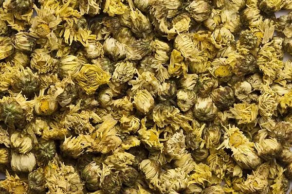 哪种菊花茶清热去火效果最好,什么品种的菊花茶清热去火效果好