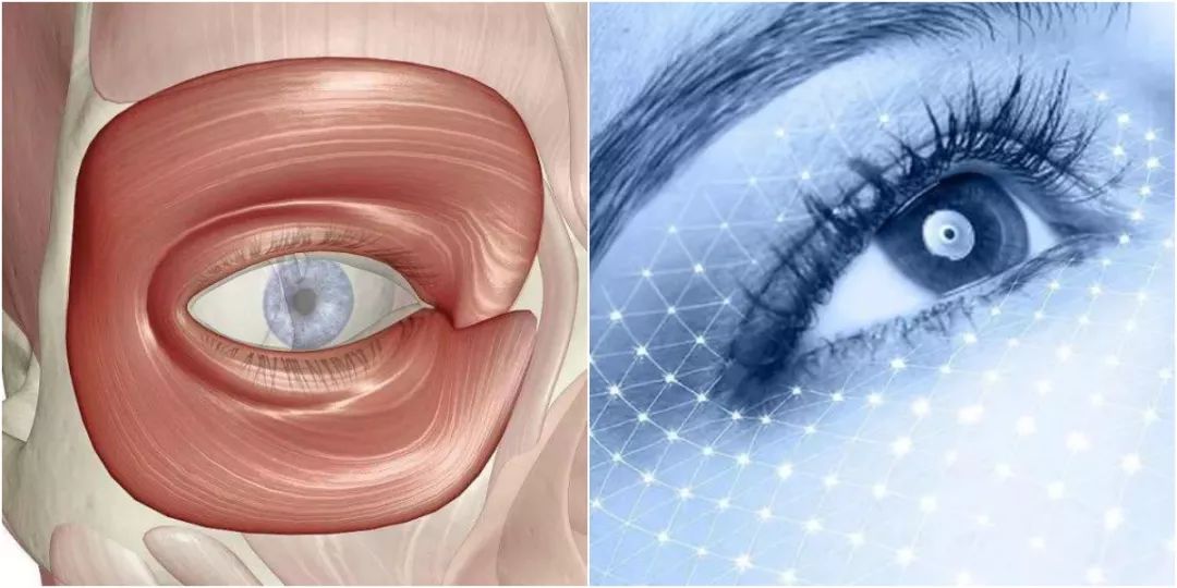 眼霜是交智商税,智商税护肤品眼霜