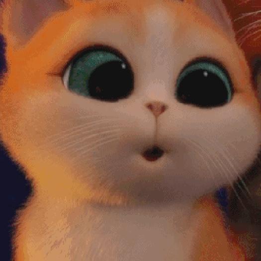 温岭市驾驶证换证在什么地方学习,温岭驾驶证审验在哪里