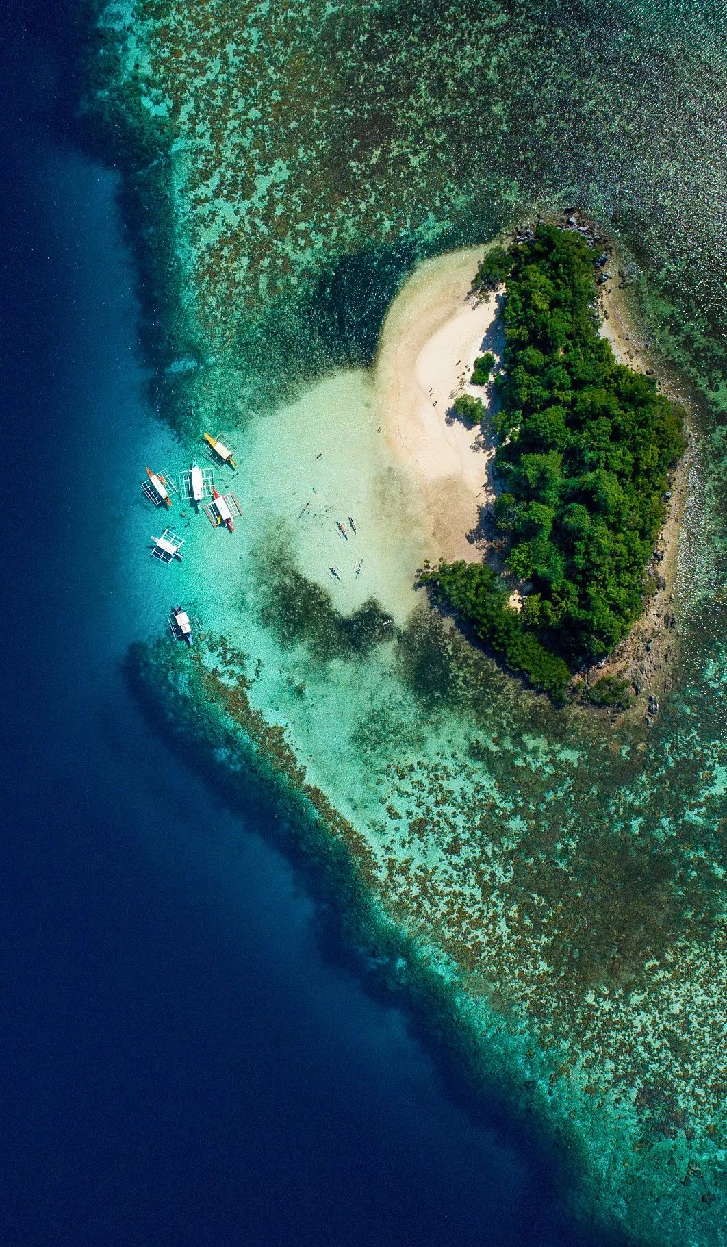 菲律宾塑料破碎,菲律宾碎尸案