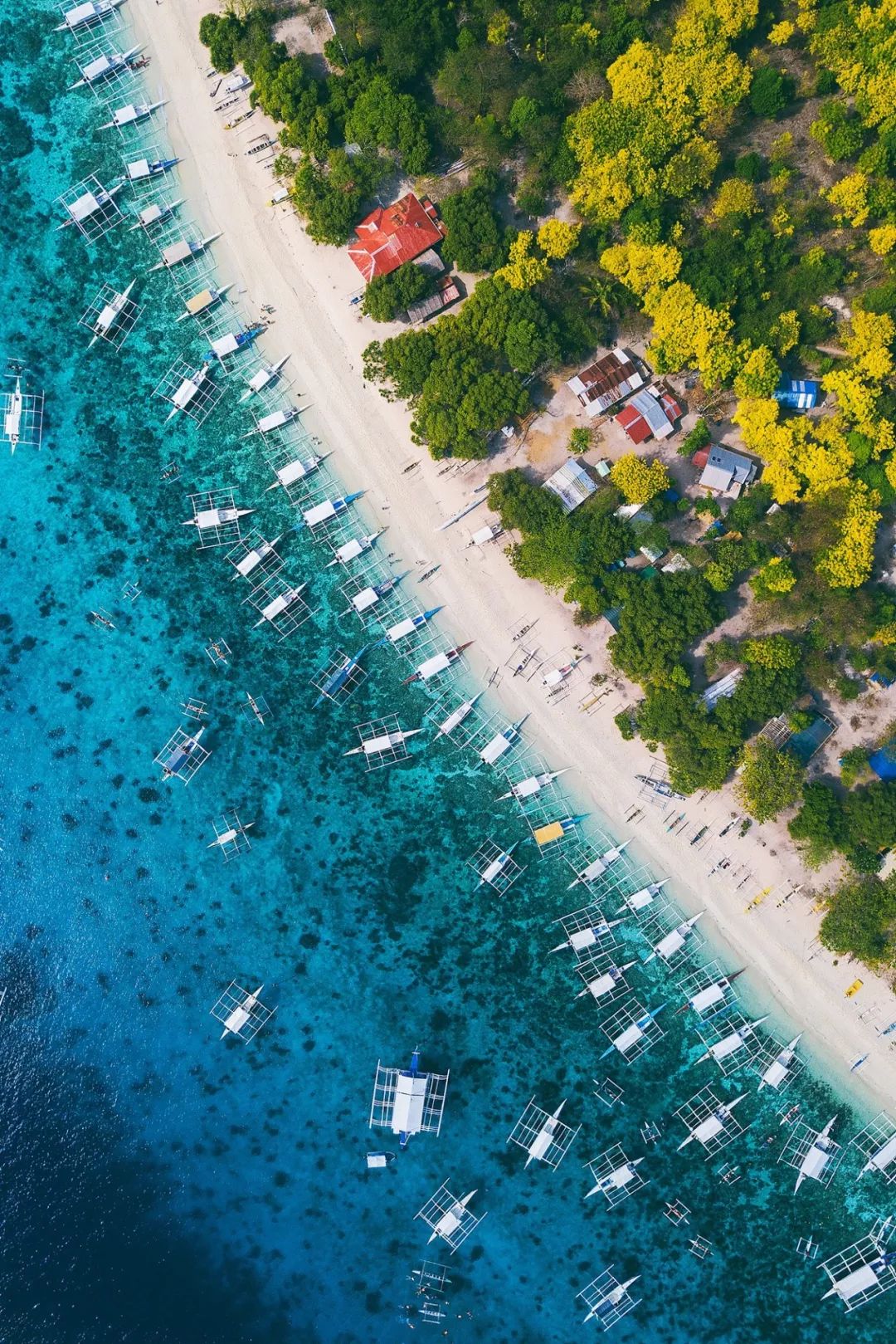 菲律宾塑料破碎,菲律宾碎尸案