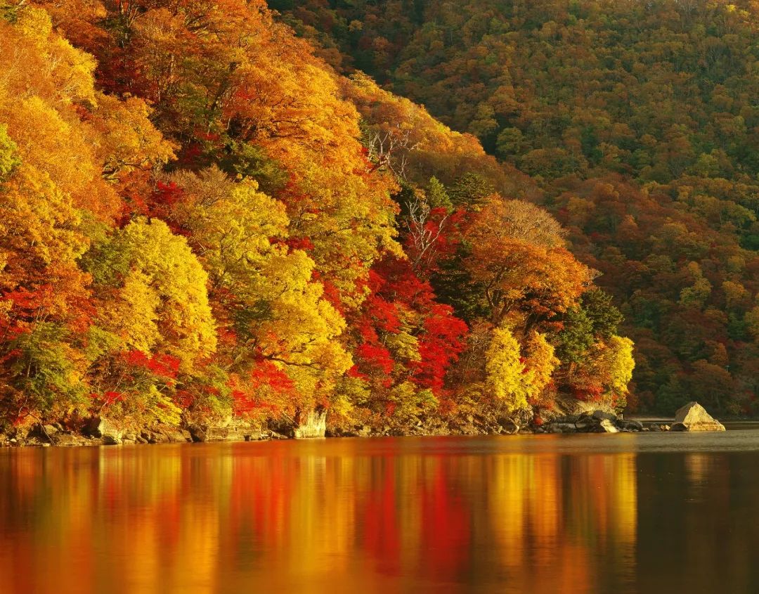 愿烟火人间安得太平美满二胡,愿烟火人间安得太平美满