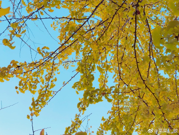 最新福州温泉公园,福州温泉公园