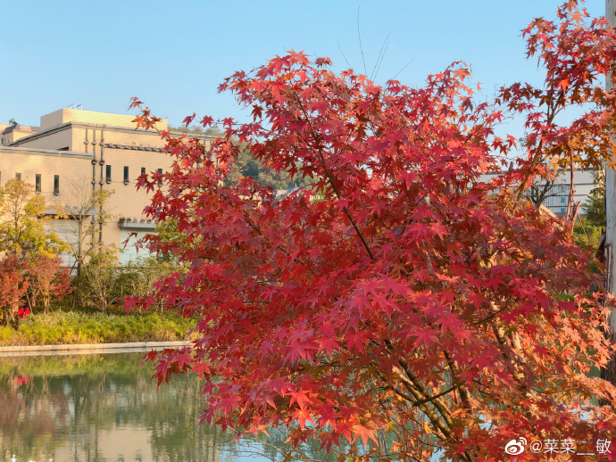 最新福州温泉公园,福州温泉公园