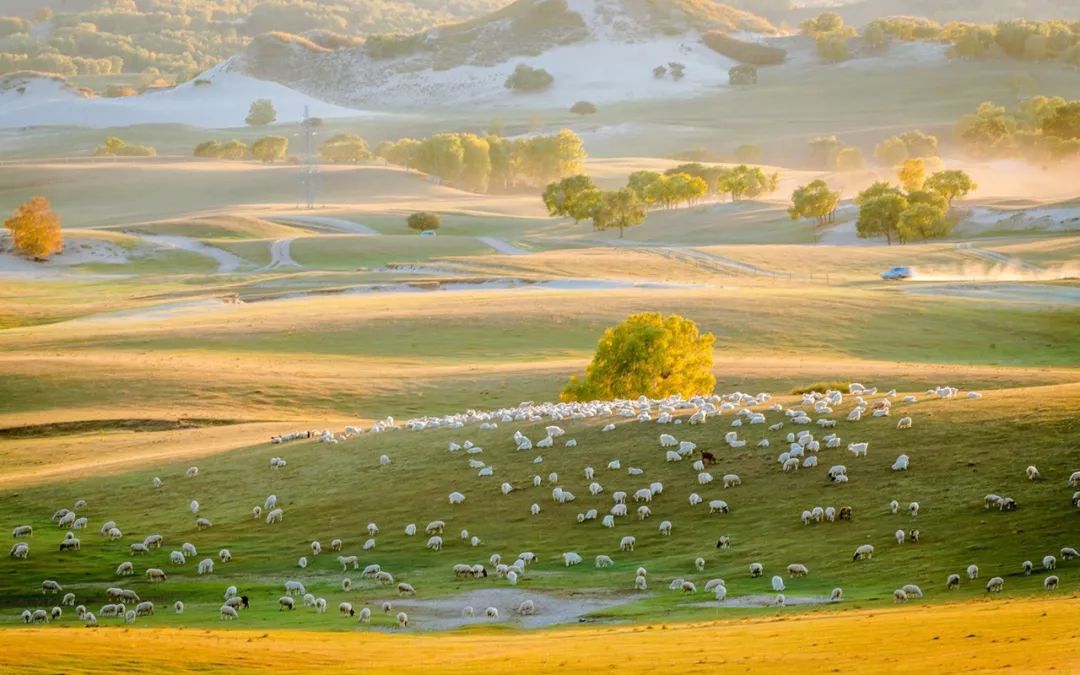 央视怀旧经典背景音乐,央视经典背景音乐排名