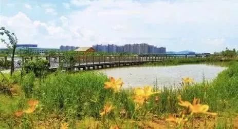 穗莞深城际开通到广州哪里,穗莞深城际开通后可以直接换乘