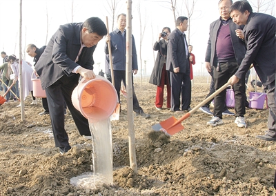增木材强生态富民生实现生态经济效益双丰收——南阳市强力推进国家储备林项目建设