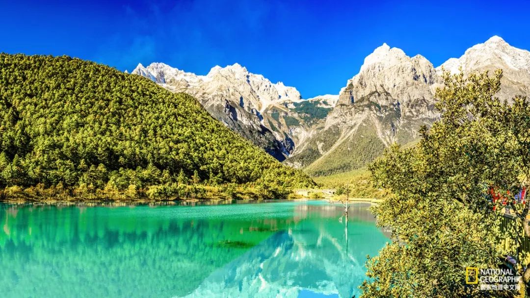 丽江为什么可以让人沉醉,丽江为何称作艳遇之都