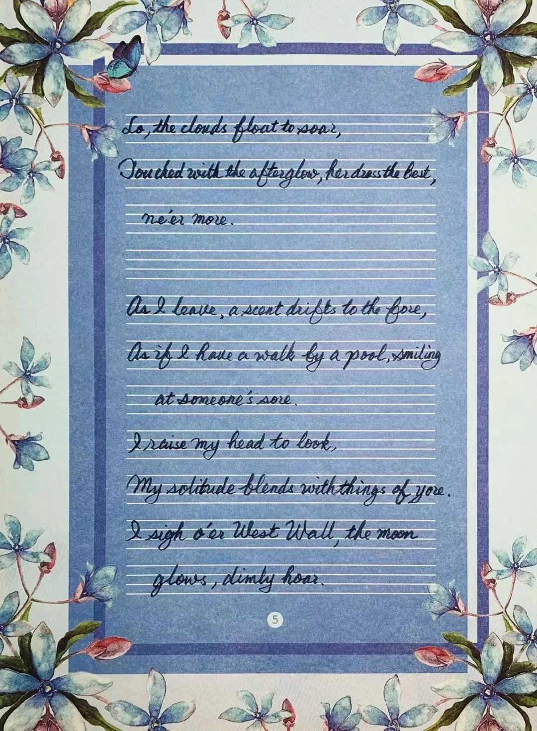 译典|夜合花·义乌Yiwu·MagnoliaCoo