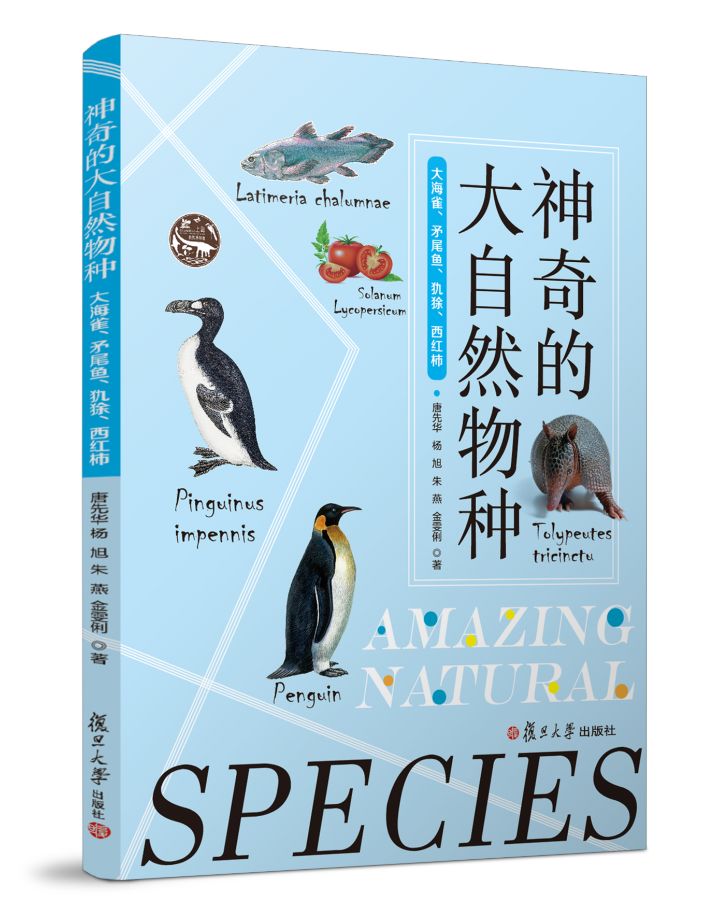 2014年世界杯吉祥物福来哥杯子,巴西吉祥物福来