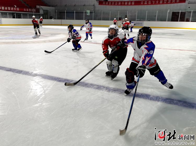 室外滑冰场的建设和投入,广东滑冰场解决方案