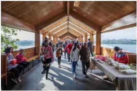 松阳古村落古树人家风景美如画,松阳千年古村落