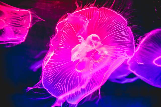 猝不及防闯入你的容颜|你好,青岛