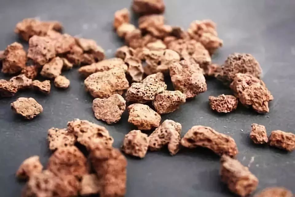 开团|瘦身蓄热、舒适无痕，设计它的人一定特懂得体恤女人......