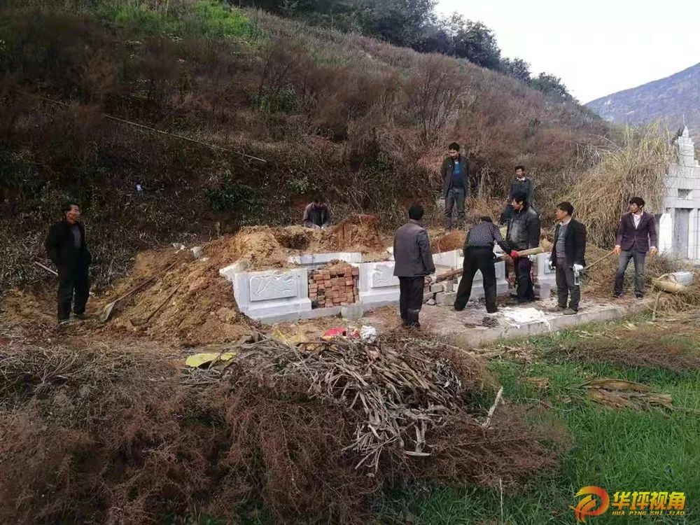 丽江国家级龙头企业,丽江快递停运通知最新消息