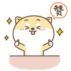 莲池区新建小学的最新信息,莲池小学开放时间