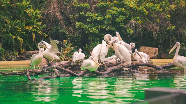 海底探秘视频,海底探秘海洋馆