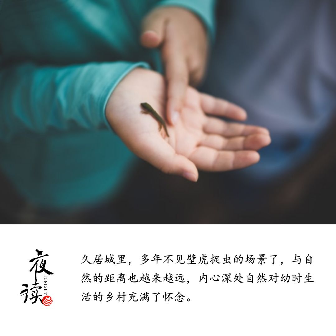 夜读梁梁,夜读壁灯