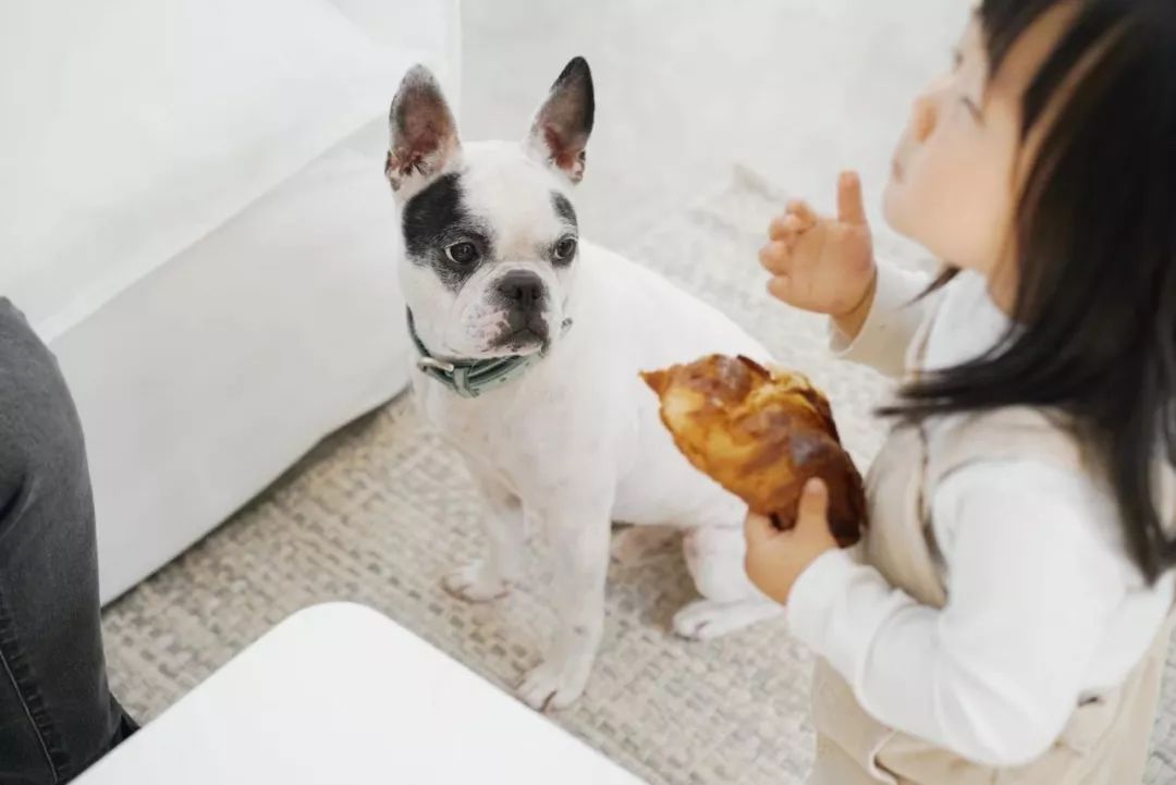 魔都租房实用指南,上海魔都租房记