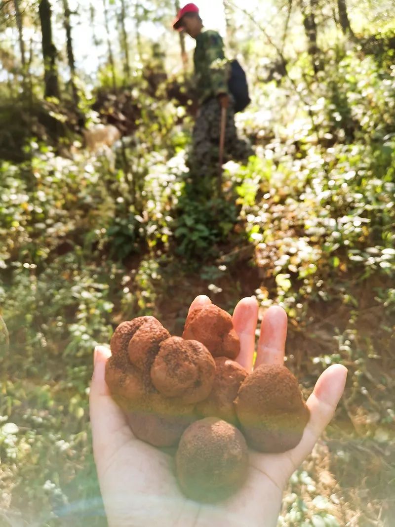 天涯咫尺，如见故人|2019小林摄影总结