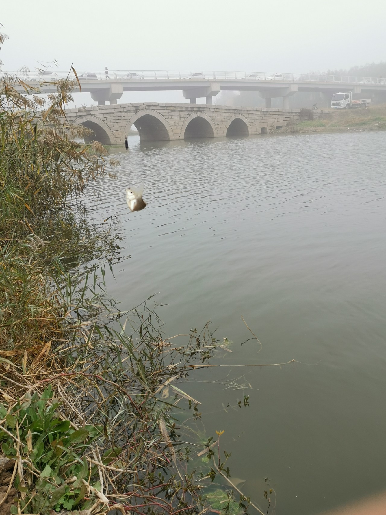 钓鱼十大注意事项,钓鱼需要注意的21要点