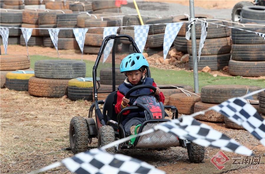 来海洋公园感受快乐,海埂公园白天好玩还是晚上好玩