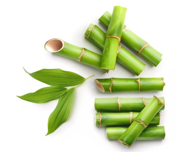 为啥不建议用湿巾,为什么不建议用湿巾