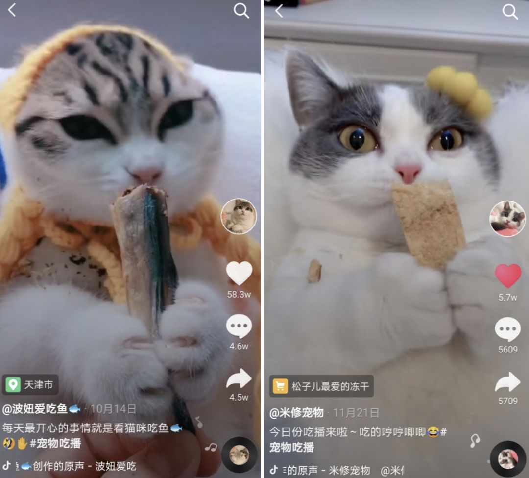 抖音大胃王4个月涨粉1400万！「浪胃仙」是怎么火起来的？