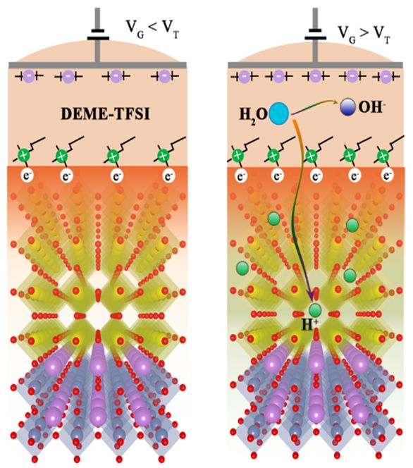 用氧化物定制人脑之梦