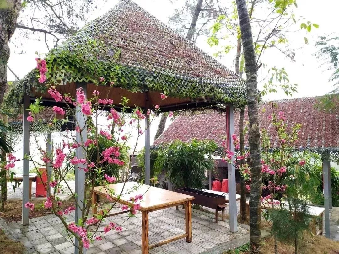 柳城周边游玩景点推荐,柳北旅游推荐