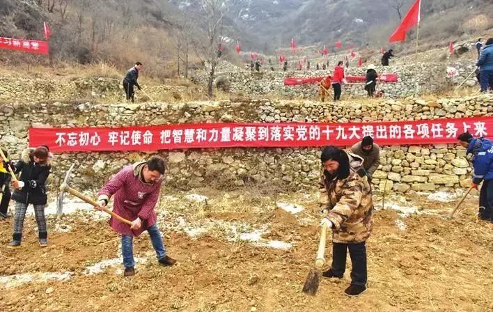 太行新愚公摘要,太行新愚公指的是