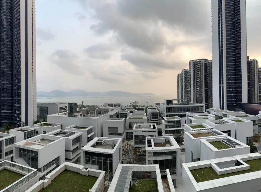 经典!实话实说:错过半4,再想买深圳湾太难了