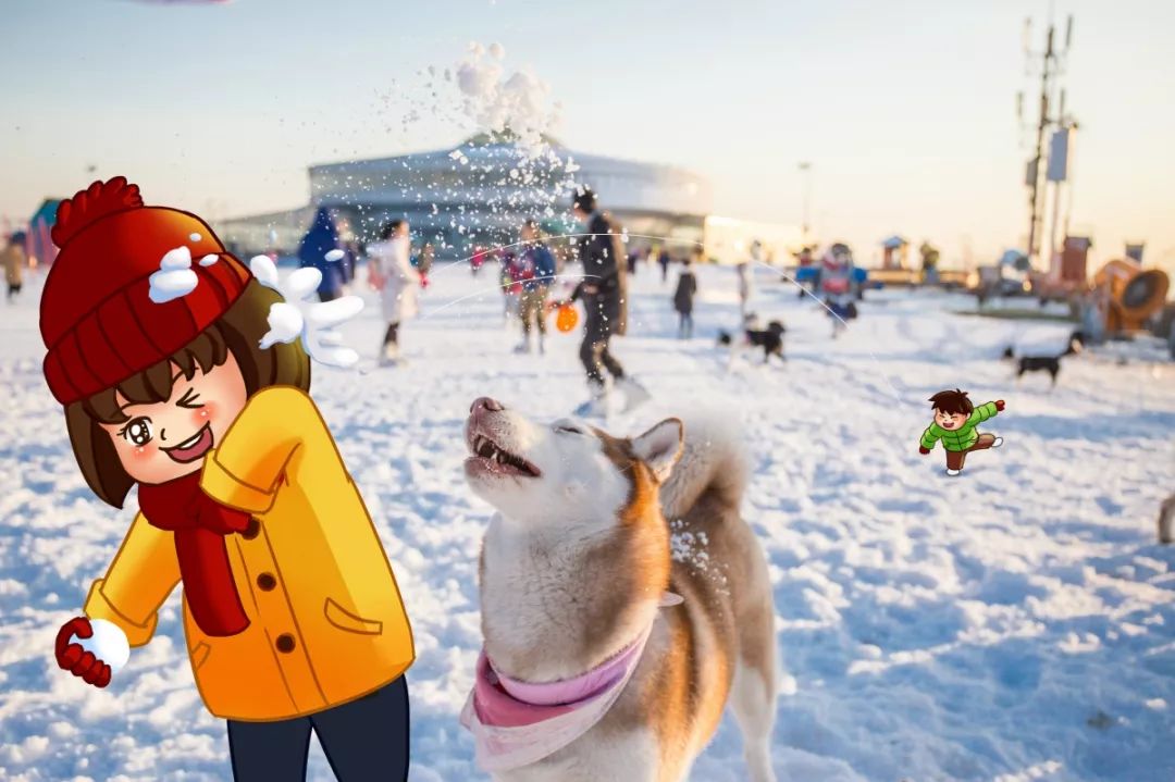 语文知识整理小学最全,一年级上册语文查漏补缺