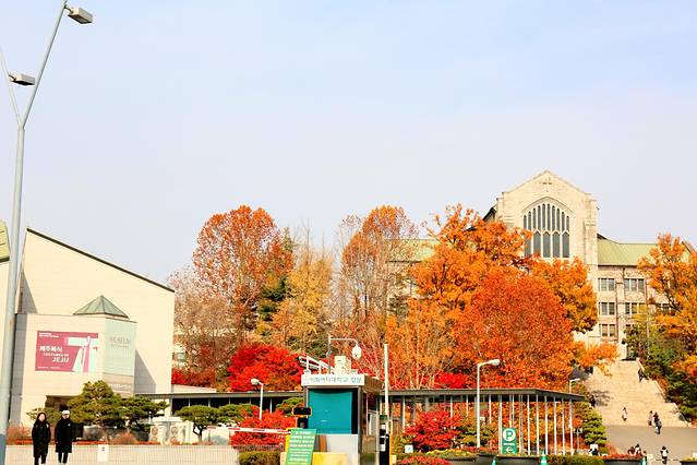 去韩国购物不超过多少钱,去韩国不美容不购物去哪里