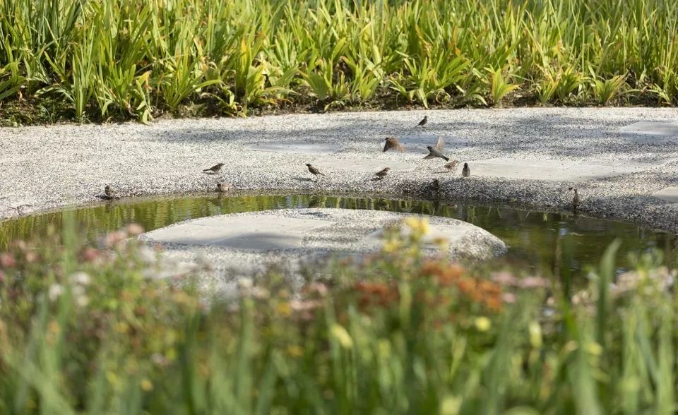 贵州安顺西秀区虹山湖市民公园,西秀区武当路虹山湖市民公园