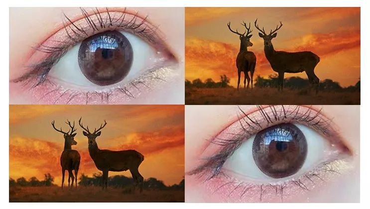 戴美瞳测评,隐形美瞳眼镜哪个牌子最好最舒适