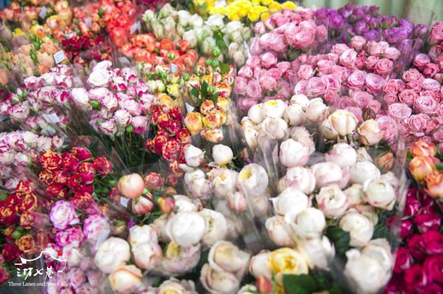 鼓楼区要给全福州人送“福”了！文末有福利