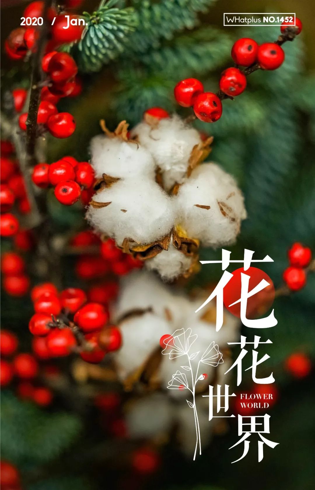 武汉最大鲜花批发市场,武汉哪个市场鲜花最便宜