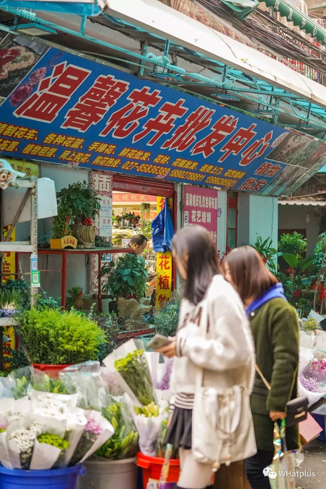 武汉最大鲜花市场,武汉最实惠的鲜花交易市场