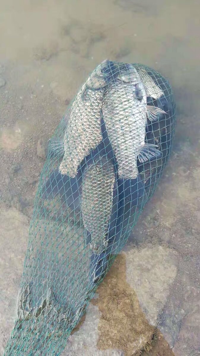 鱼钩串钩绑法为什么串钩钓不到鱼,串钩的钓法和技巧