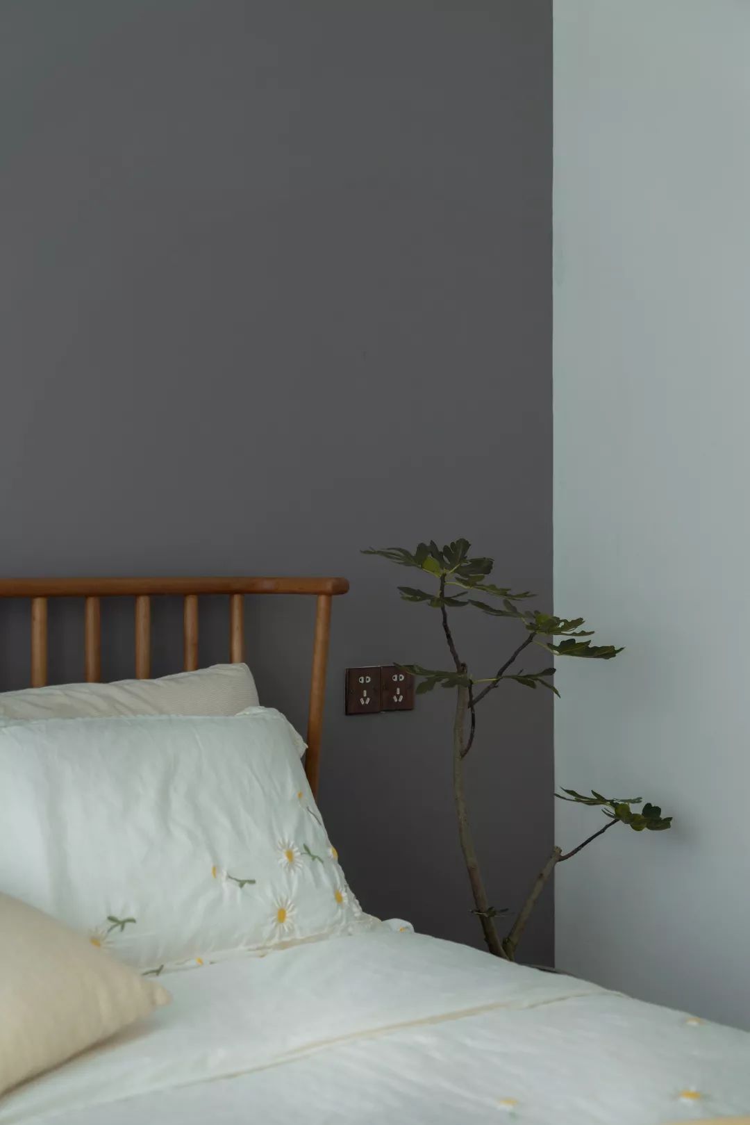 她家院子比房子还大,足足有80m²,在城里也能过得像李子柒