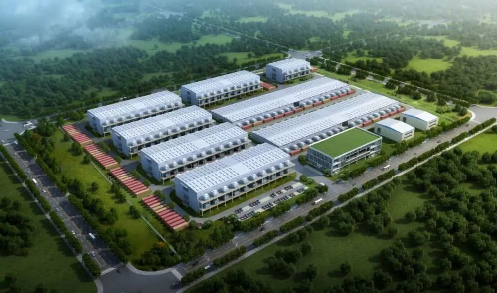 投资过百亿的实体项目,最近十年投资最大的项目