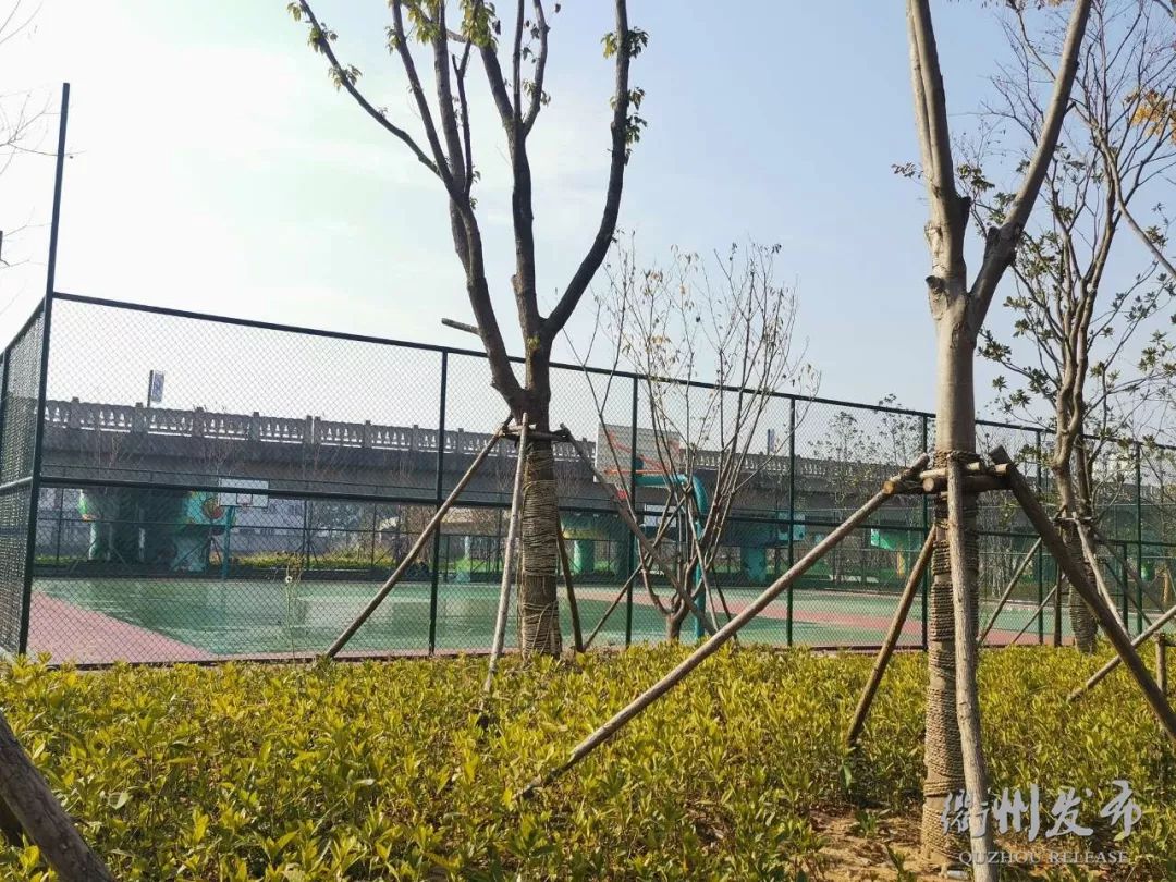 好消息!春节假期,衢州20个市民健身驿站、全民健身中心部分场馆,免费开放~