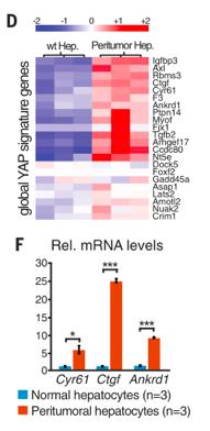 nature子刊《scientificdata》,nature子刊sci