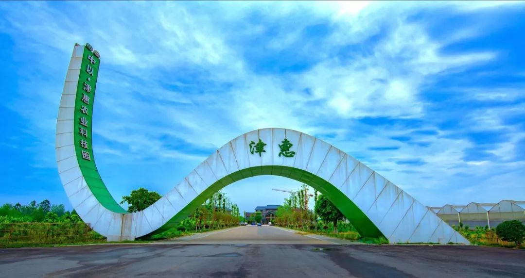 1块1斤！10块1袋！新津这支蔬菜“帮销队”你要加入吗？