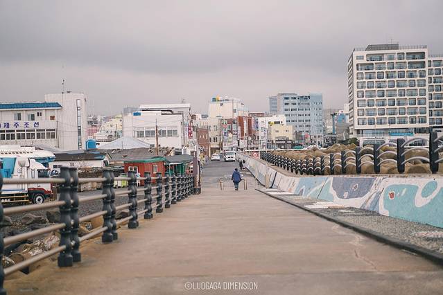 济州岛旅行遇到下雨,日记三年级海边游玩