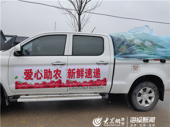 这就是山东丨从果园直达市民果盘济宁邹城爱心助农共战疫情