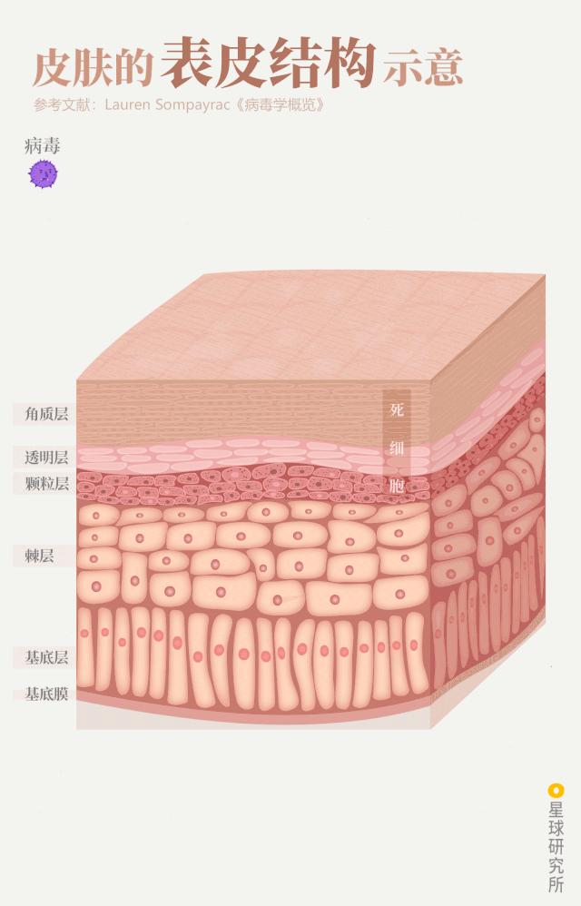 鍋囧鐥呮瘨鎰熸煋浜嗕綘,鍋囧鐥呮瘨鎰熸煋浜嗘垜