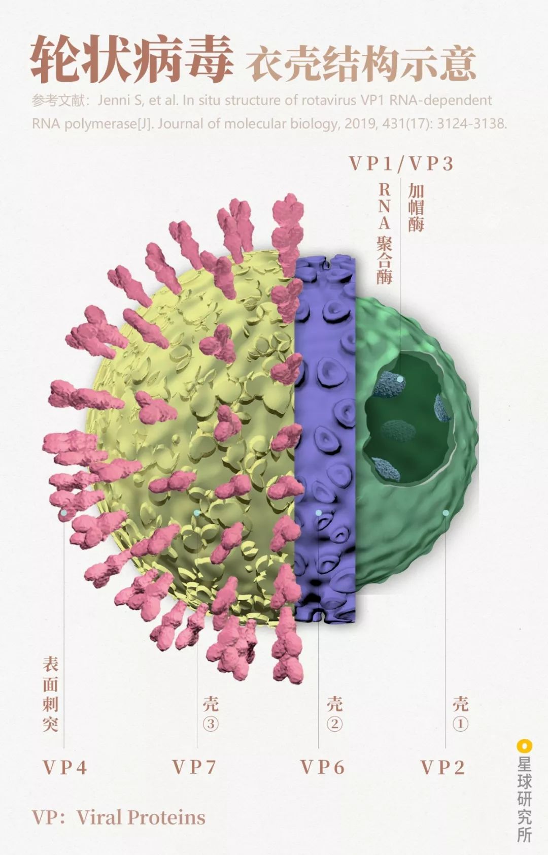 鍋囧鐥呮瘨鎰熸煋浜嗕綘,鍋囧鐥呮瘨鎰熸煋浜嗘垜