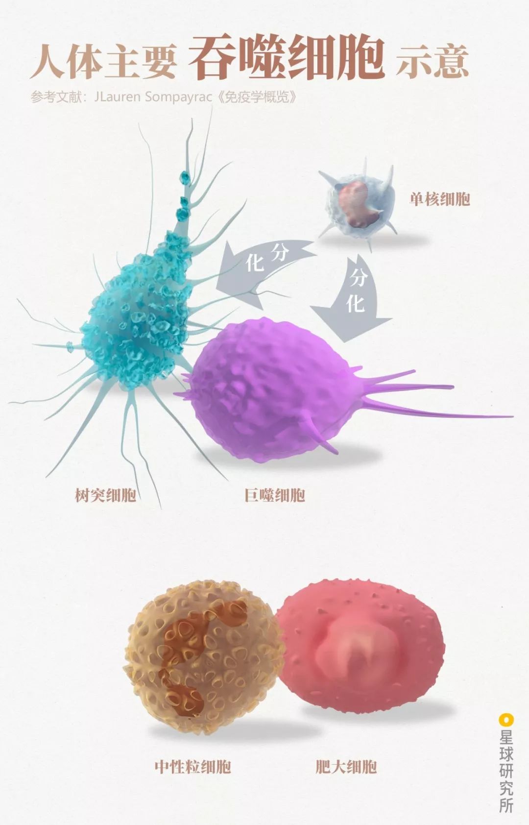 鍋囧鐥呮瘨鎰熸煋浜嗕綘,鍋囧鐥呮瘨鎰熸煋浜嗘垜